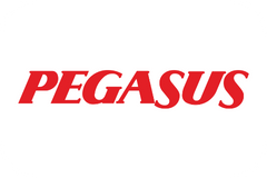 Pegasus web logo 1