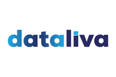 Dataliva web logo 1