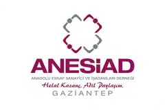 ANESIAD WEB LOGO.png