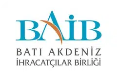 BAIB web logo.png