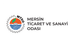MTSO web logo