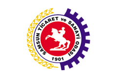 samsun tso web logo