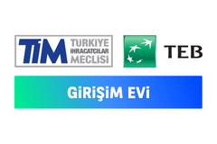 tim teb